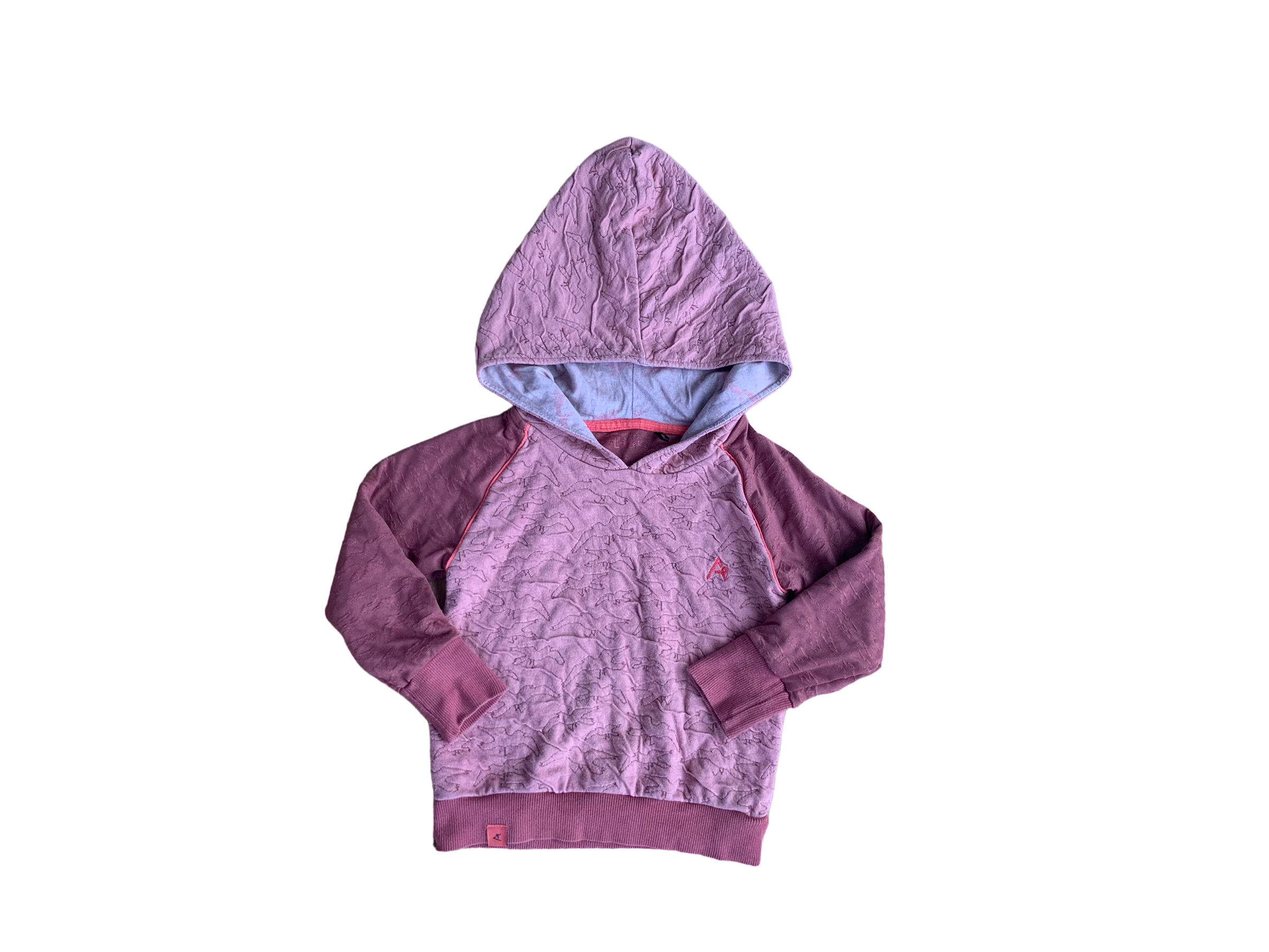 Alba Kids Hoodie