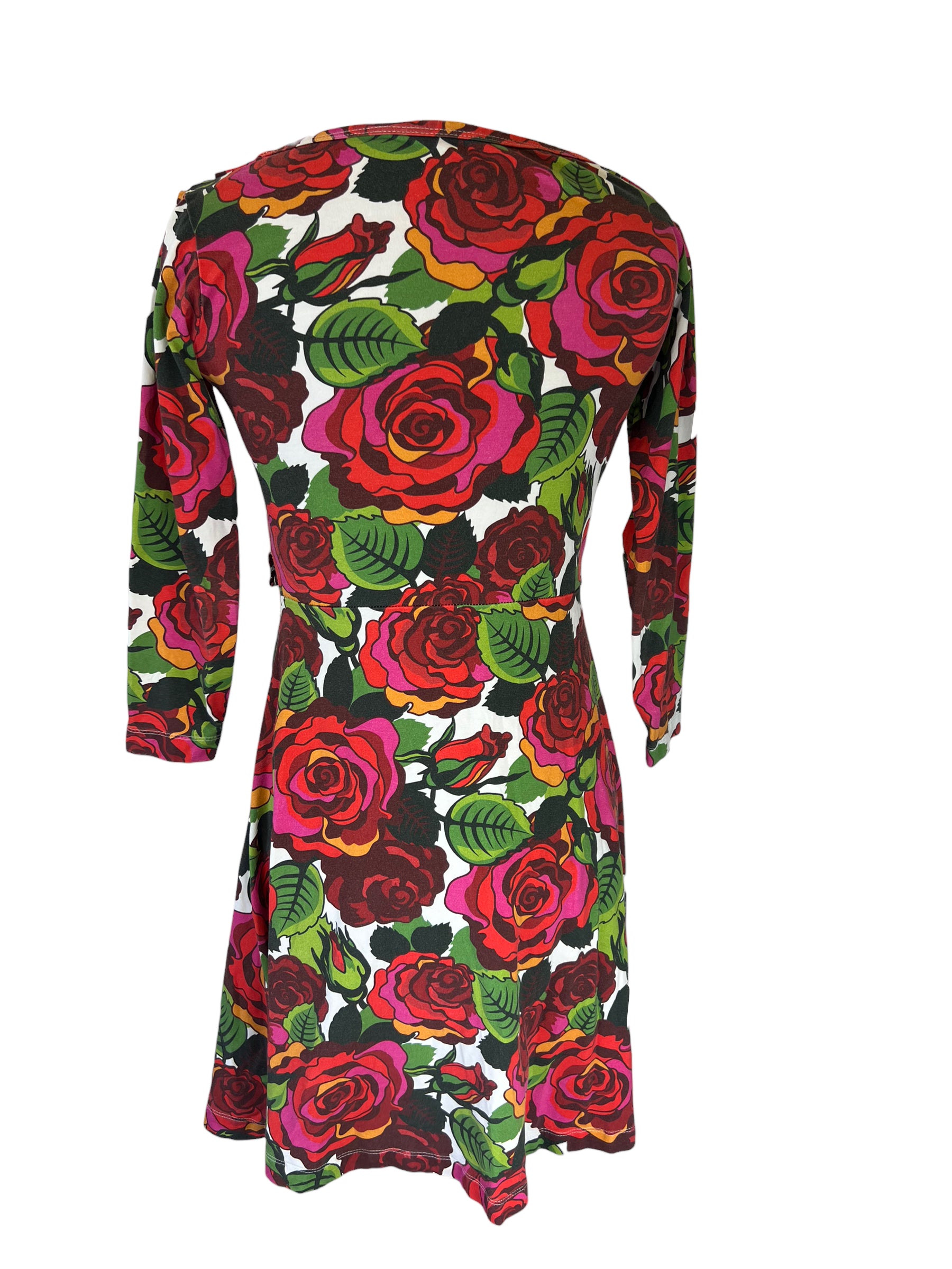 Not So Tiny Vikings Women's Dress