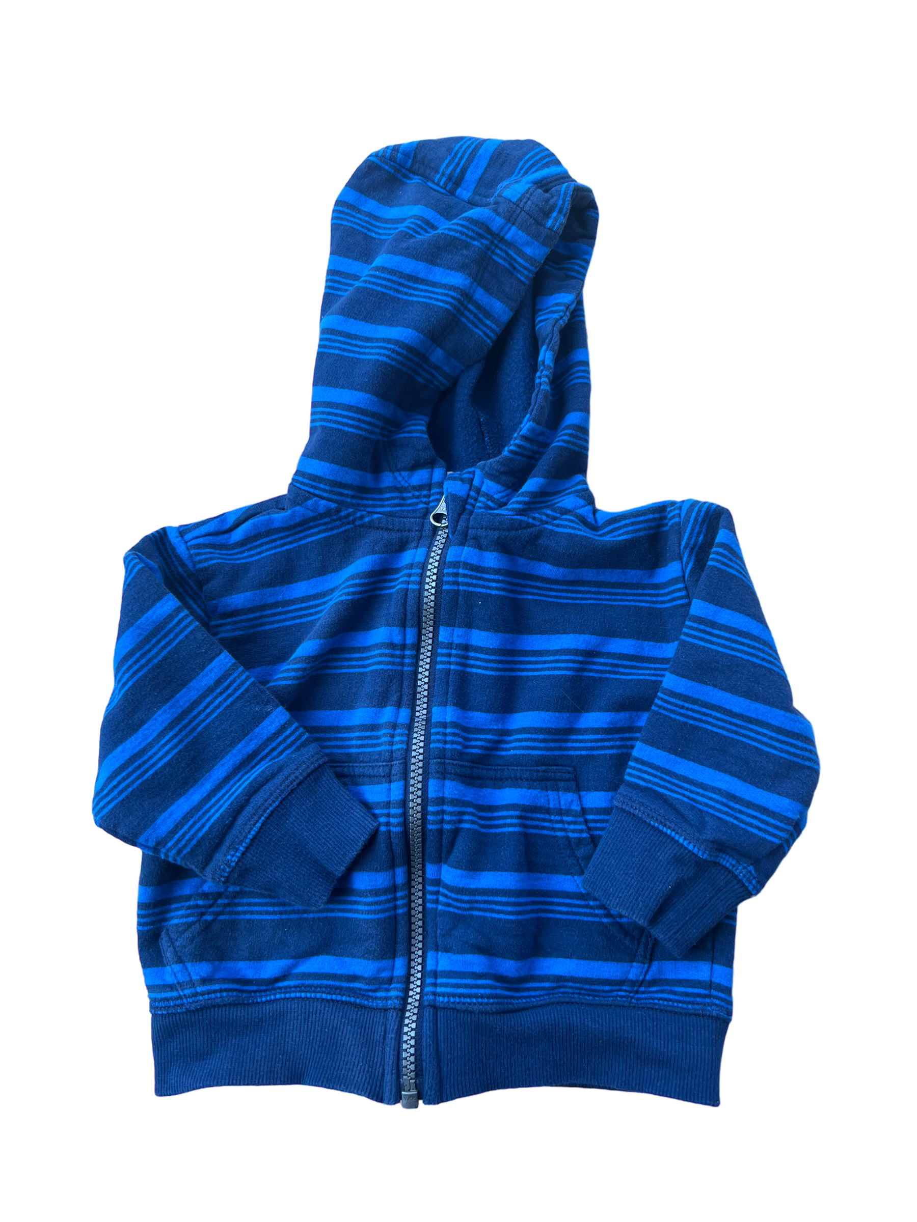 Blue Zoo Hoodie