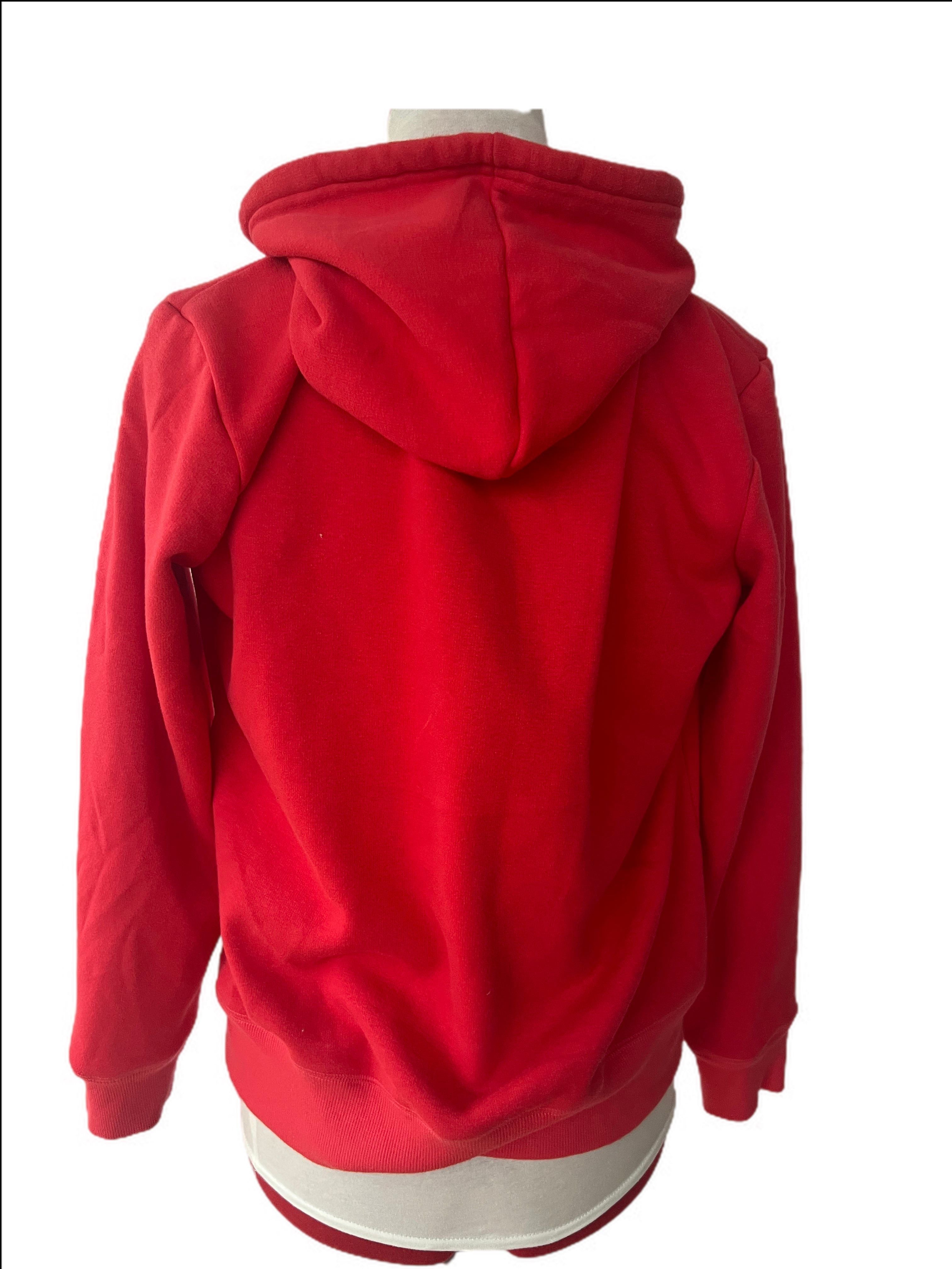 Hollister Hoodie