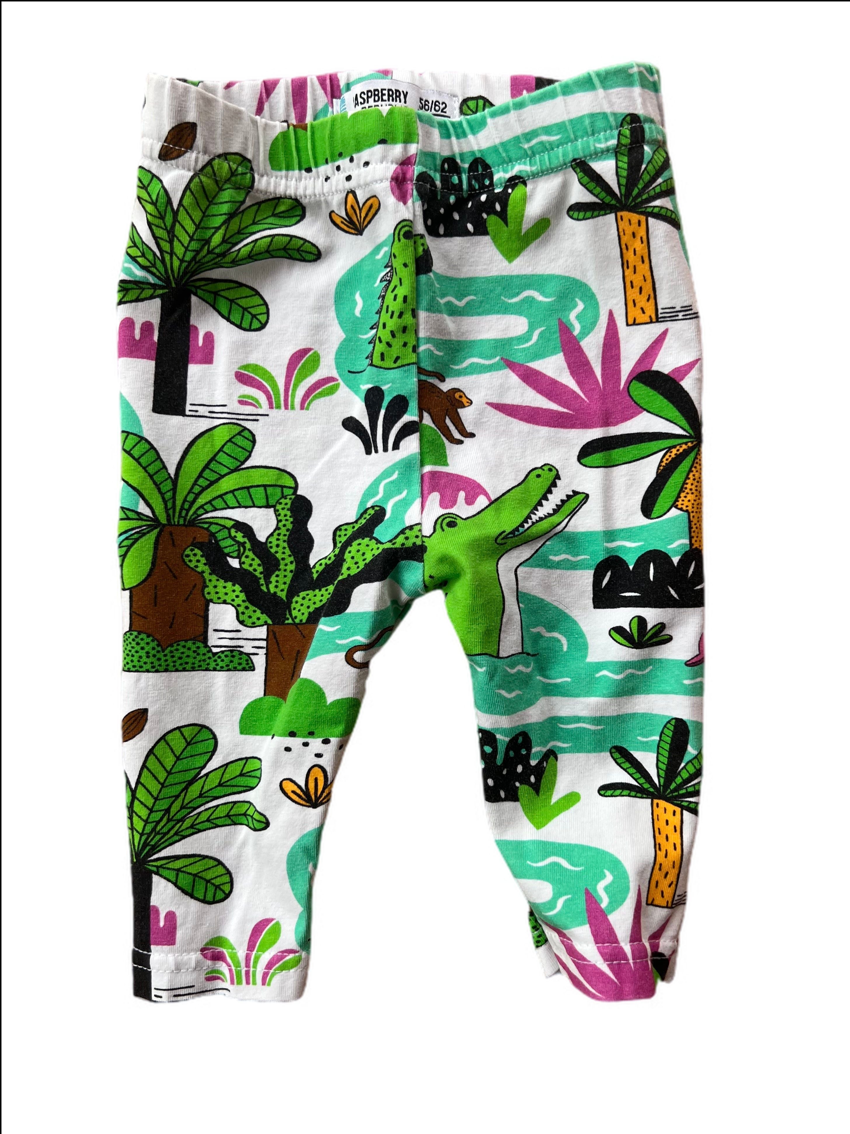 Raspberry Republic Leggings