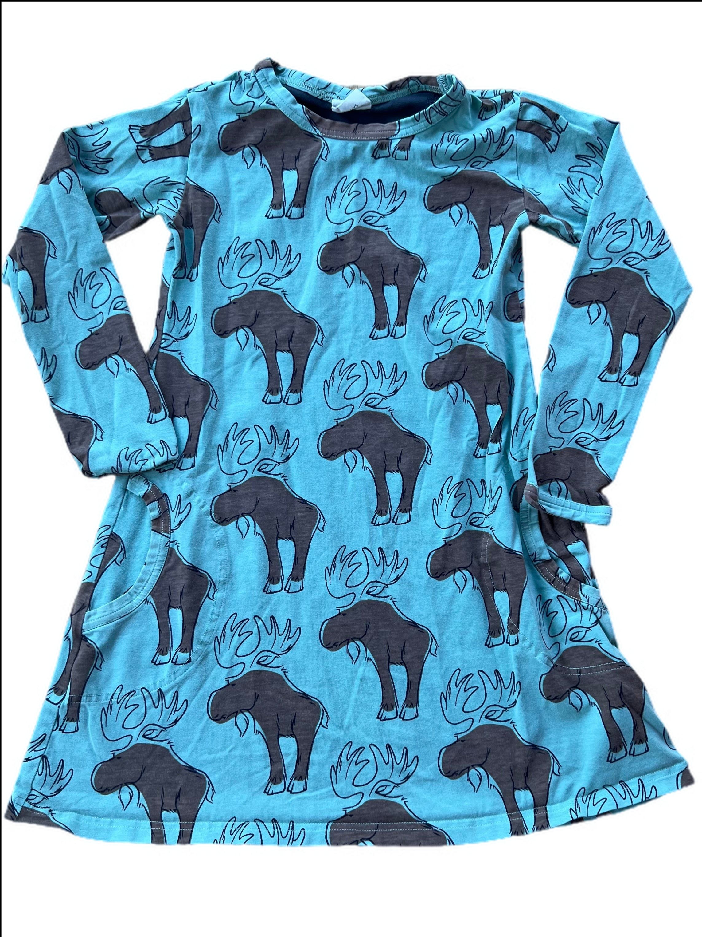 Long Sleeve A-Line Dress with Pockets in Moose rint